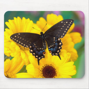 Schwalbenschwanz Schmetterling Mousepad