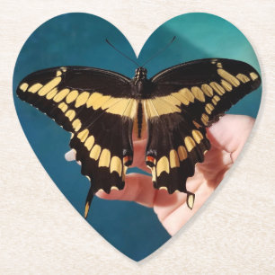 Schwalbenschwanz-Schmetterling Untersetzer