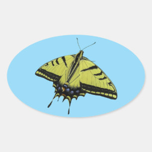 Schwalbenschwanz Western Tiger Schmetterling Schwa Ovaler Aufkleber