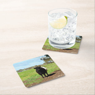 Schwallkuh, Untersetzer