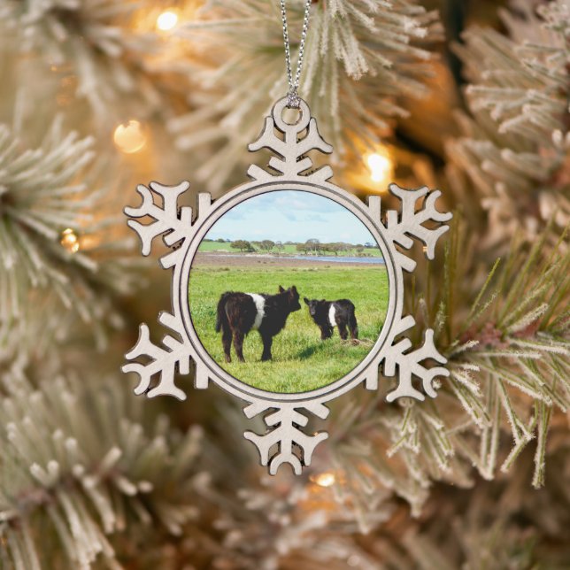 Schwallkühe, die im Lande gebrannt sind, Schneeflocken Zinn-Ornament (Baum)