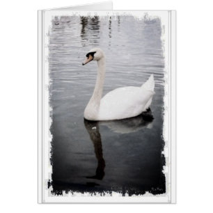 Schwan