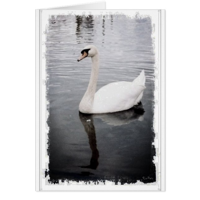 Schwan (Vorne)