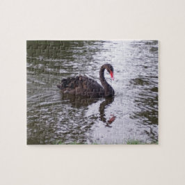 Schwan