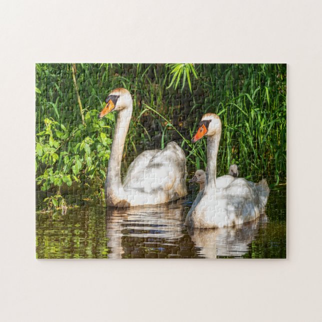 Schwan (Horizontal)