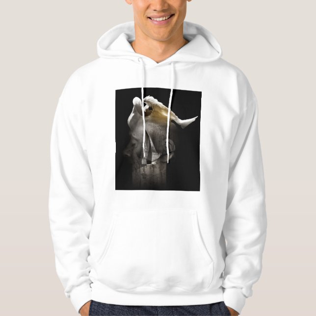 Schwan 2013 hoodie (Vorderseite)