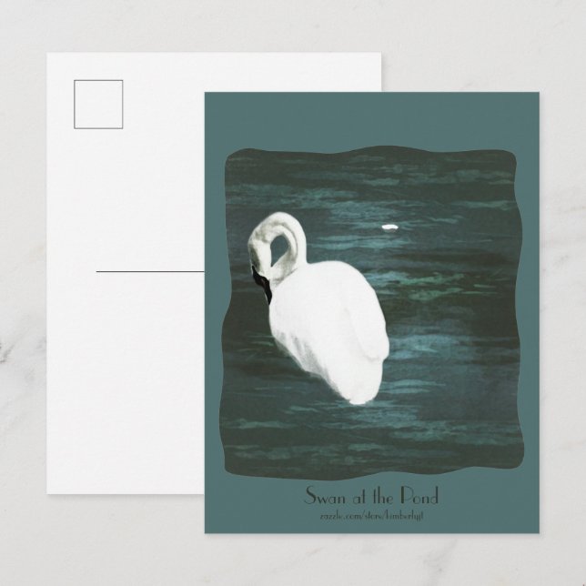 Schwan am Teich Postkarte (Vorne/Hinten)