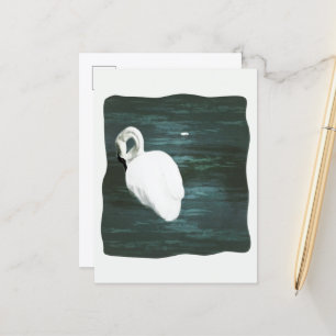 Schwan am Teich Postkarte