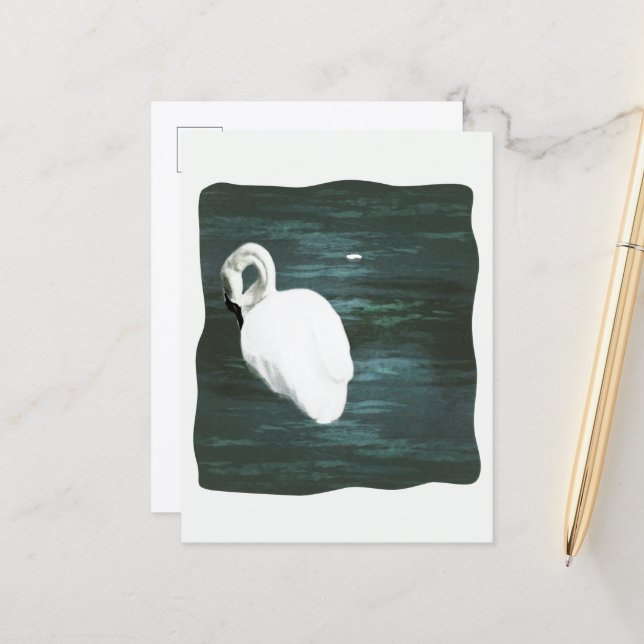 Schwan am Teich Postkarte (Vorderseite/Rückseite Beispiel)