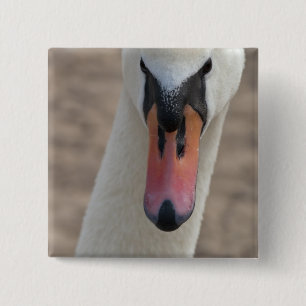 Schwan Button