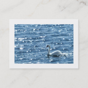 Schwan, Cardiff Bay, Cardiff. Visitenkarte