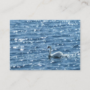 Schwan, Cardiff Bay, Cardiff. Visitenkarte