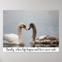 Schwan-Duo-Natur-Fotowanddekoration