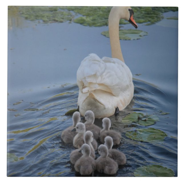 Schwan Fliese (Vorderseite)