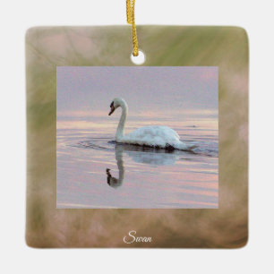 Schwan Foto Ornament