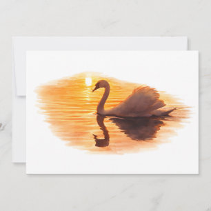 Schwan gleitet bei Sonnenuntergang Einladung