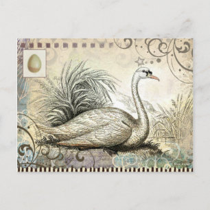 Schwan Grafik Postkarte