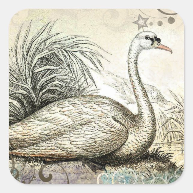 Schwan Grafik Quadratischer Aufkleber (Vorderseite)