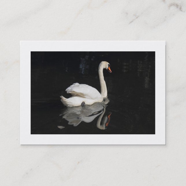 Schwan (grenzt) visitenkarte (Vorderseite)