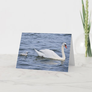 Schwan-Gruß-Karte Karte