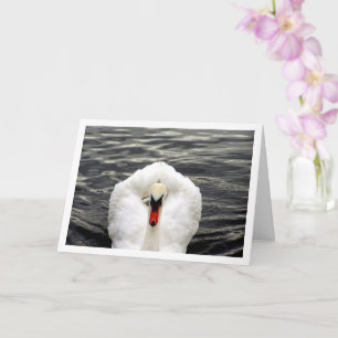 Schwan im See-Porträt Karte
