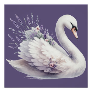 Schwan in Aquarell mit Lavendelblüten Poster