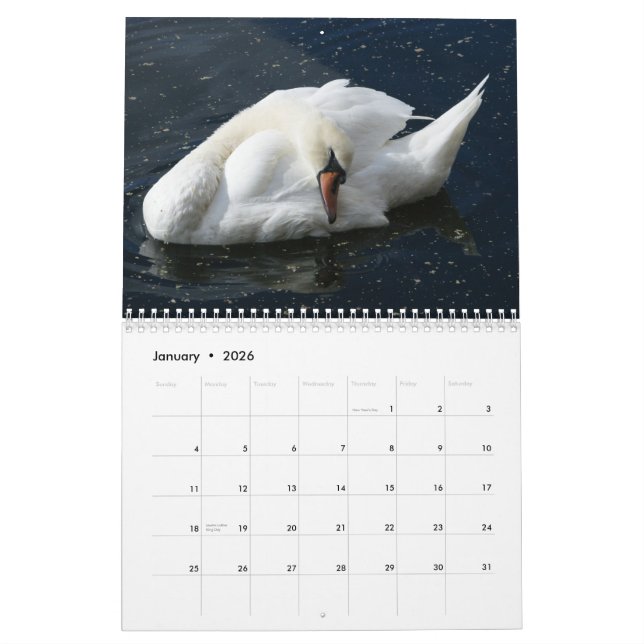 Schwan-Kalender 2012 Kalender (Jan 2026)