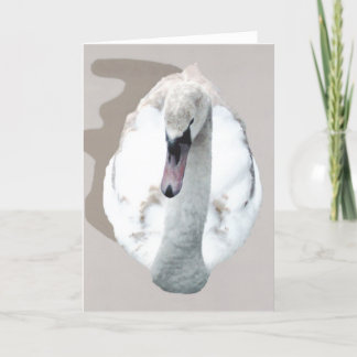 Schwan. Karte