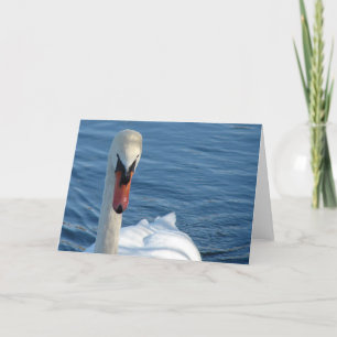 Schwan Karte