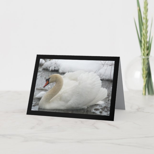 Schwan-König Karte (Vorderseite)