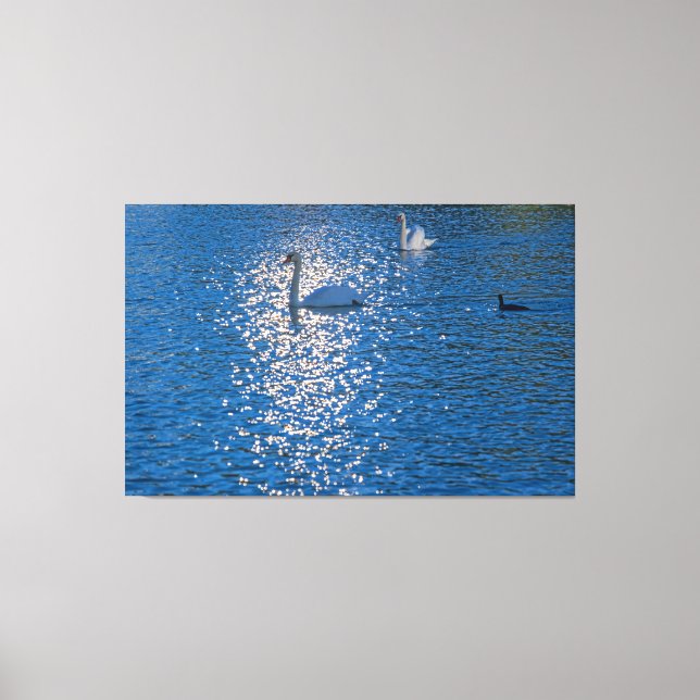 Schwan Leinwanddruck (Vorderseite)