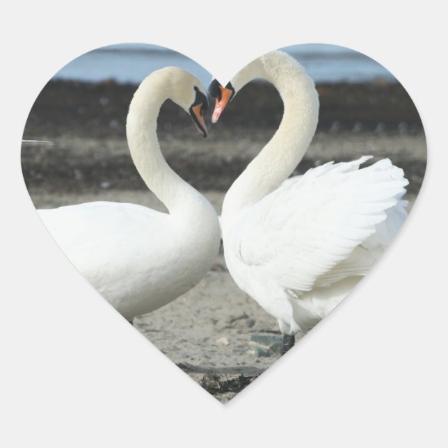 Schwan-Liebe-Aufkleber Herz-Aufkleber (Vorderseite)