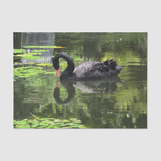 Schwan-Liebe Seidenpapier (Vorderseite)