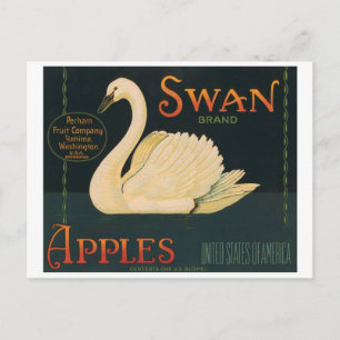 Schwan-Marken-Äpfel Antike Kisten-Etikette Postkarte