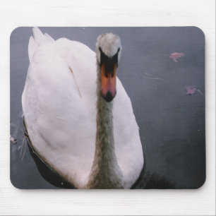 Schwan Mousepad