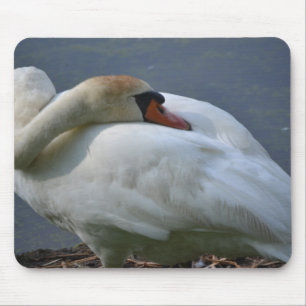 Schwan Mousepad
