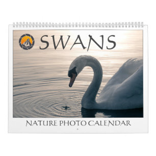 Schwan-Naturfotos 2027 Kalender