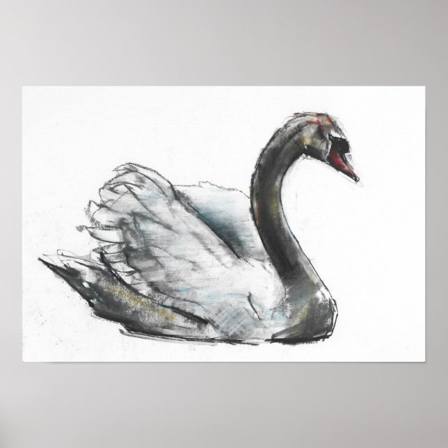 Schwan Poster (Vorne)