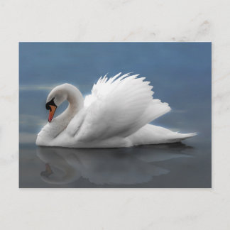 Schwan Postkarte