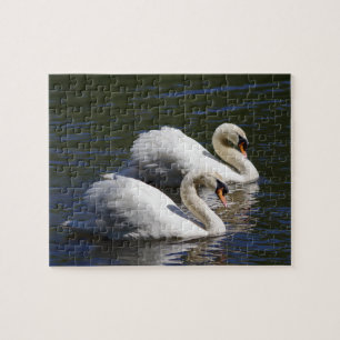 Schwan-Puzzle