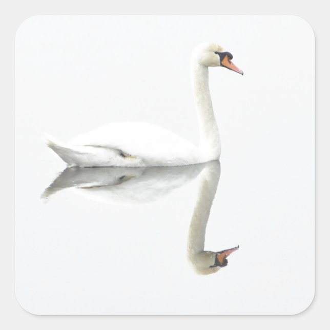 Schwan Quadratischer Aufkleber (Vorderseite)