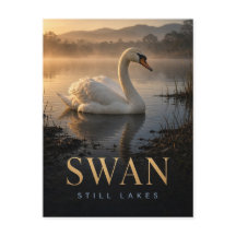 Schwan Stille Seen Wildtier TIER