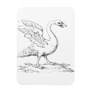 Schwan Symbol der Liebe und Treue Fine Art Magnet