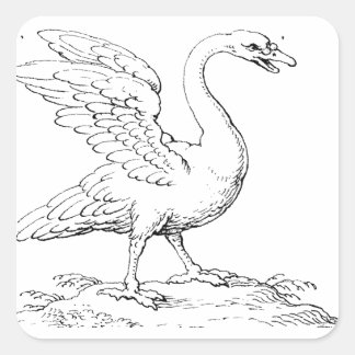 Schwan Symbol für Liebe und Treue, Kunstobjekt Quadratischer Aufkleber