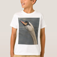 Schwan
