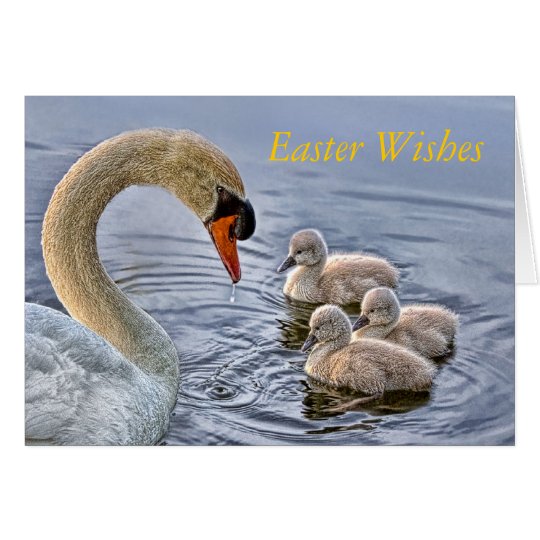 Schwan-u. Baby-Ostern-Karte Karte