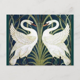 Schwan und Eil und Iris Tapete TBA Ausgezeichnet Postkarte