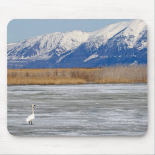 Schwan und Schnee Mousepad