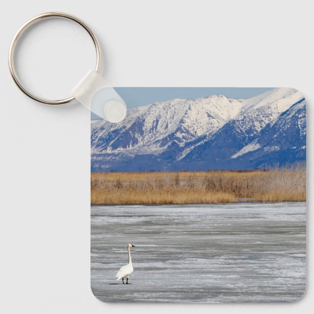Schwan und Schnee Schlüsselanhänger (Vorderseite)