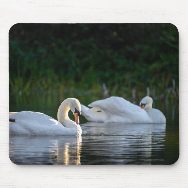 Schwan, Vogel, See Mousepad (Vorne)
